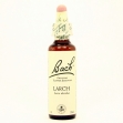 Bach 19 larch (alerce)20 ml