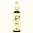 Bach 36 wild oat (avena silvestre) 20 ml