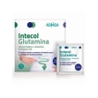 Intecol glutamina 15 sobres sakai