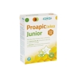 Proapic jalea real junior 20 viales
